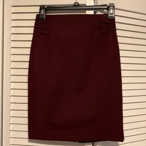 NWT Express dark purple skirt 00